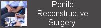penile reconstructive surgery