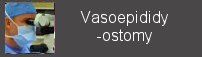 vaseopididyostomy